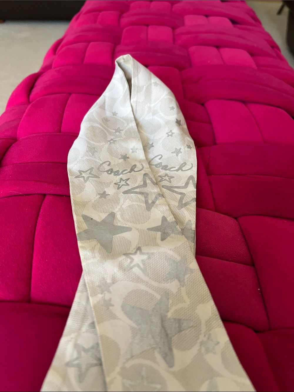 Coach Skinny Scarf - Picture 4 of 5
